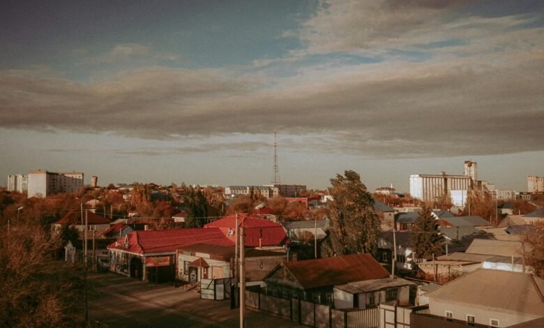 dataset overview for identifiers