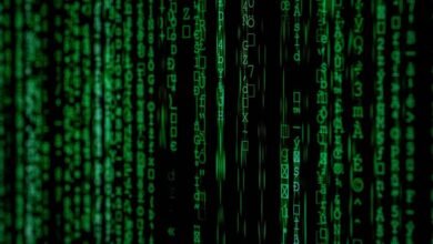 phone number analysis summary