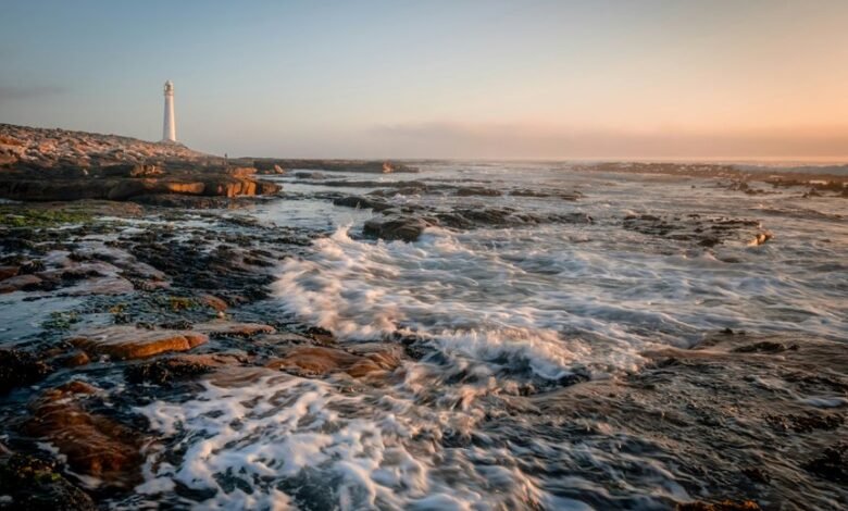 commercial signal discovery brief