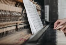 the ultimate beginner s javleav guide