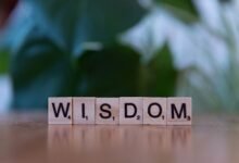 top reasons for learning 3236067842